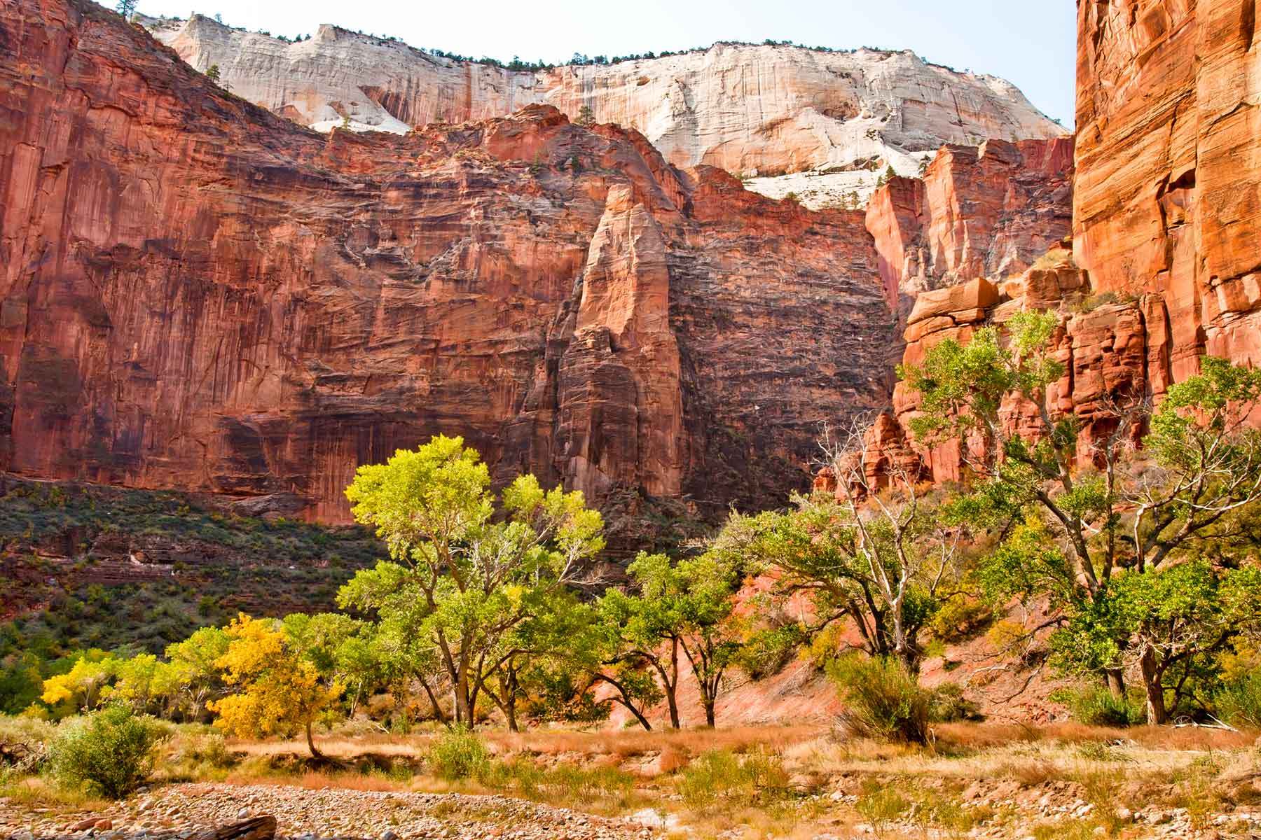 Bryce Canyon Zion VIP — Grand Canyon Tours by GC Tours