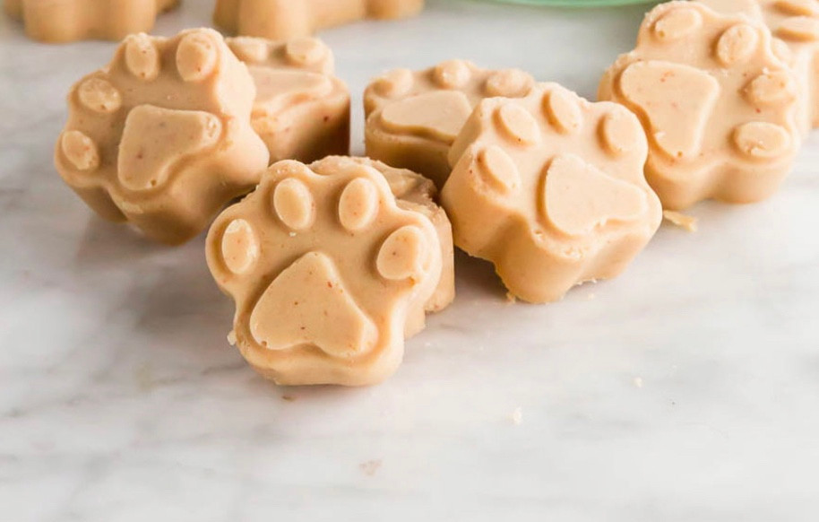 Healthy Homemade Dog Treats Dogs of Denver