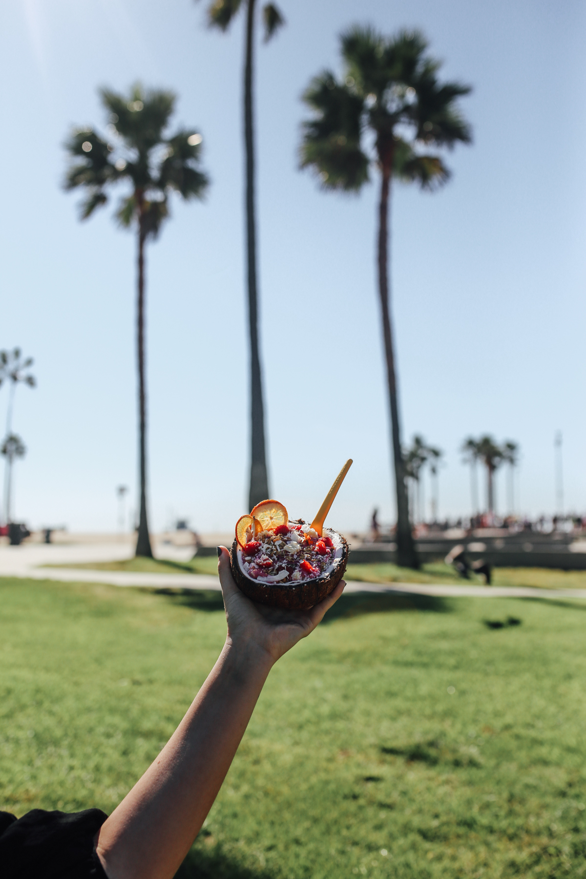 5 Totally Fun Things to Do in Venice Beach — Local Wanderer